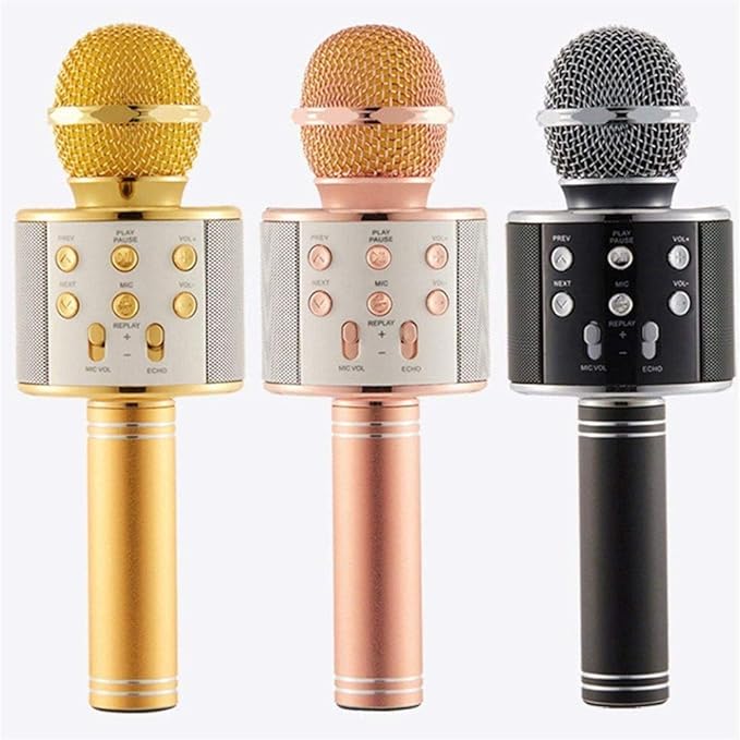 Music Mic WS-858