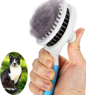 Pets Cleaning Brush