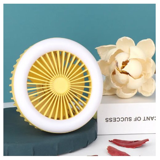 Rechargeable Electric Fan