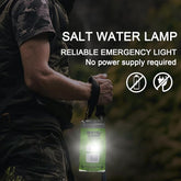 Salt and Water LED Lamp